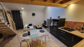 Meublé T3 tout confort St Amour